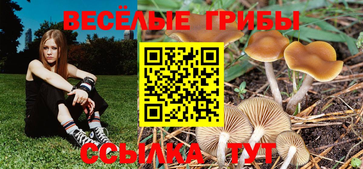 Галлюциногенные грибы Psilocybine cubensis  Вход с VPN  Уссурийск 